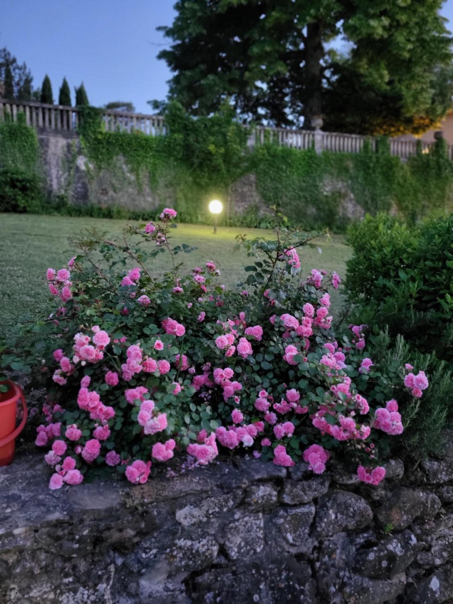 Villa Badia A Ruoti Eksteriør bilde